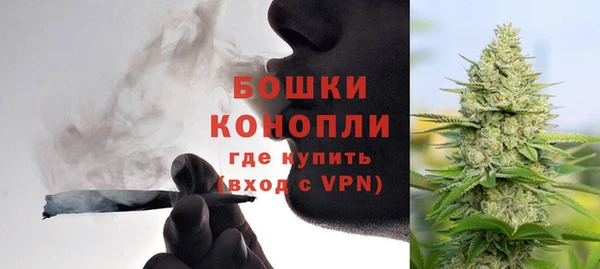 молекула духа Волосово