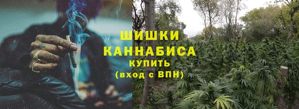 молекула духа Волосово