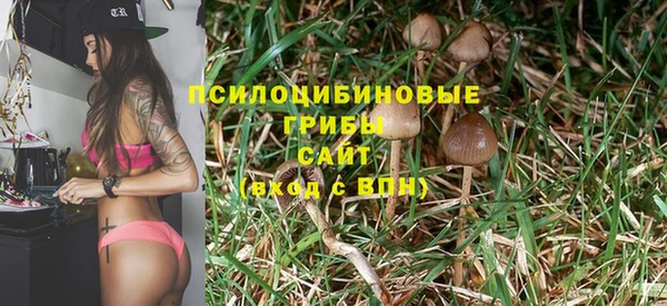 молекула духа Волосово