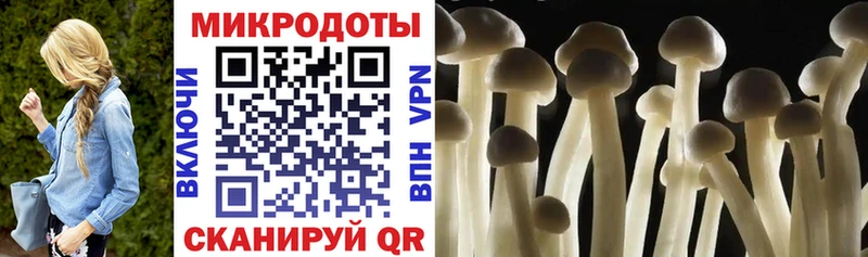 Галлюциногенные грибы ЛСД  Купить где  Оса 