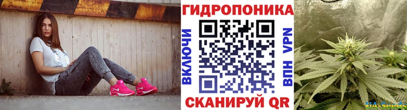 Купить  Оса  Конопля SATIVA & INDICA 